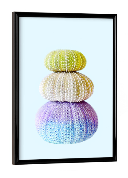 Poster mit schwarzem Rahmen "Sea Urchin" artboxONE - Natur,Tiere - Sea,Sea urchin,Blue,Grey,Purple,Beach,Sea animal,Sea creature,Minimalist,Seeigel