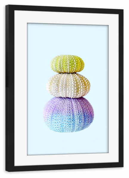 Poster mit Rahmen schwarz "Sea Urchin" artboxONE - Natur,Tiere - Sea,Sea urchin,Blue,Grey,Purple,Beach,Sea animal,Sea creature,Minimalist,Seeigel
