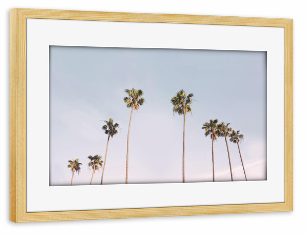 Poster mit Rahmen kiefer "Pink Sky" artboxONE - Natur,Reise - Palm trees,California,Modern,Tropical,Beach,Hawaii