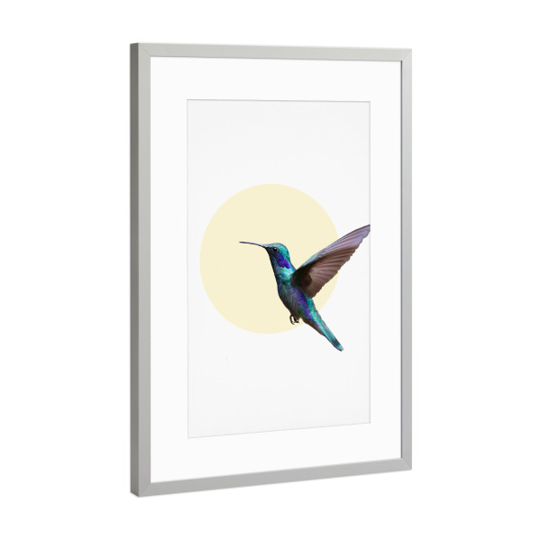 Poster mit Rahmen Silber "Humming Bird" artboxONE - Tiere