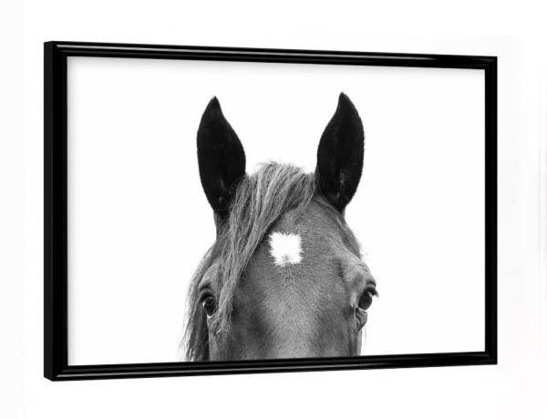 Poster mit schwarzem Rahmen "Peeking Horse" artboxONE - Tiere,Schwarzweiß - Horse,Animal,Peeking