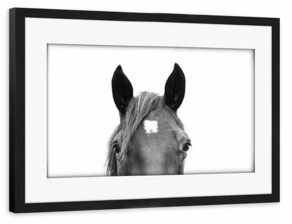 Poster mit Rahmen schwarz "Peeking Horse" artboxONE - Tiere,Schwarzweiß - Horse,Animal,Peeking