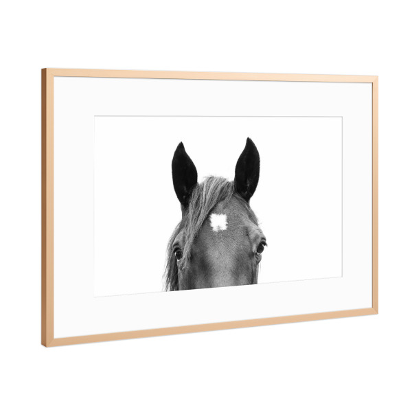 Poster mit Rahmen Kupfer "Peeking Horse" artboxONE - Tiere,Schwarzweiß - Horse,Animal,Peeking