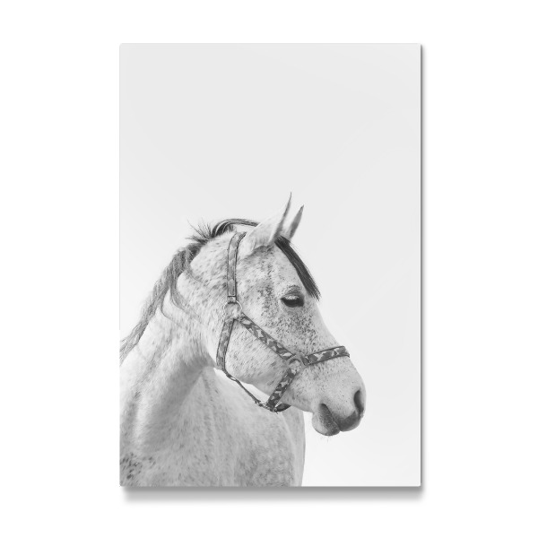 Galerie-Print "Horse 3" 30x20 cm artboxONE