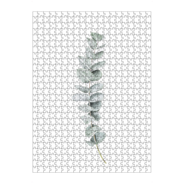 artboxONE Puzzle "Eucalyptus II" artboxONE - Natur - Eucalyptus,Branch,Botanical,Simple,Chic,Modern - Bild eucalyptus