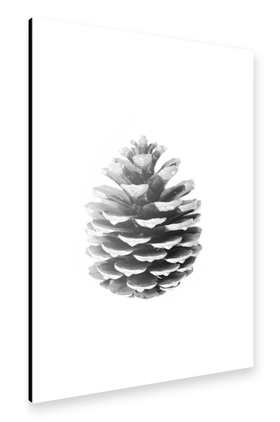 Alu-Dibond "Pinecone" 30x20 cm artboxONE