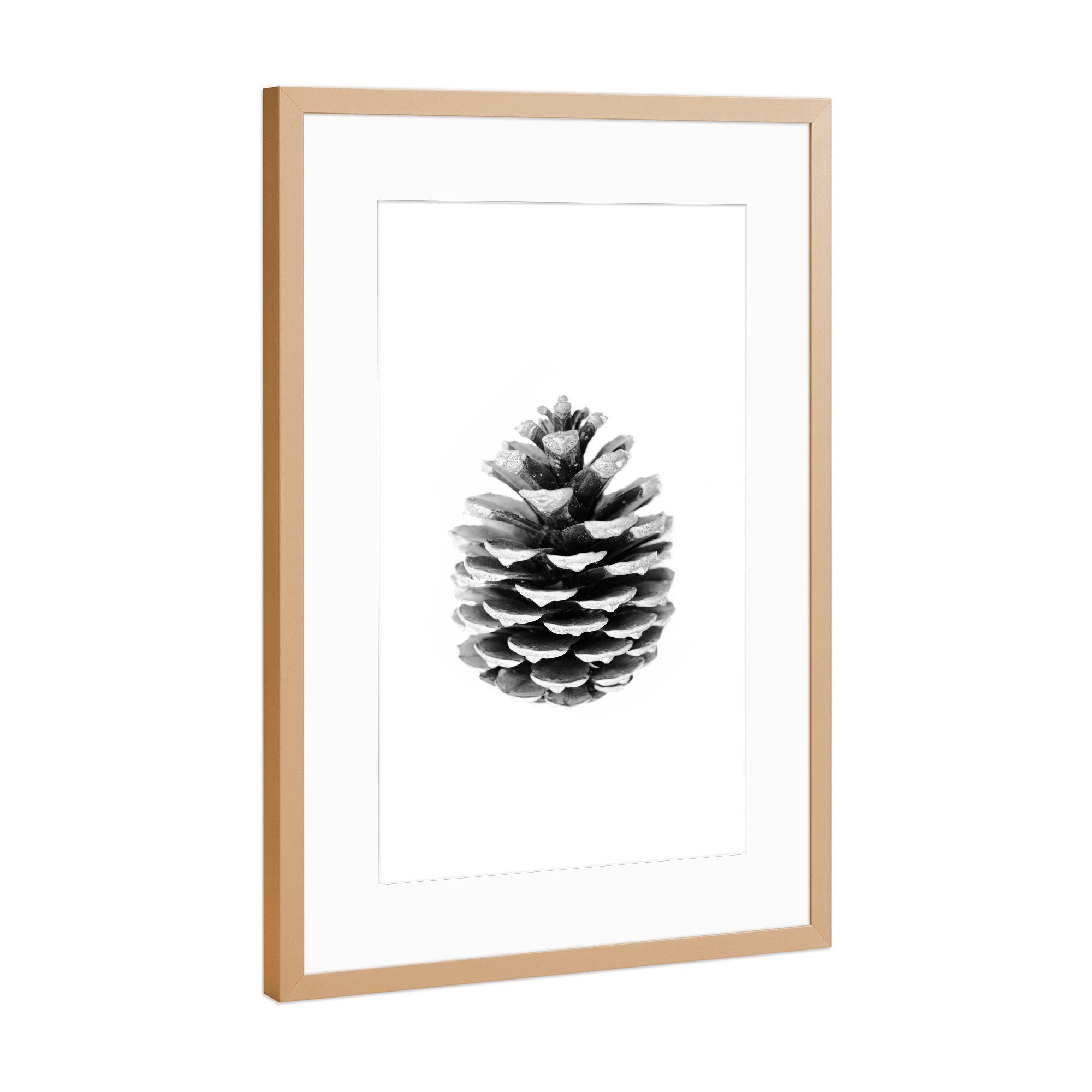 Poster mit Rahmen Kupfer "Pinecone" artboxONE - Natur,Schwarzweiß - Pinecone,Tannenzapfen,Forest,Wald,Natur,Nature