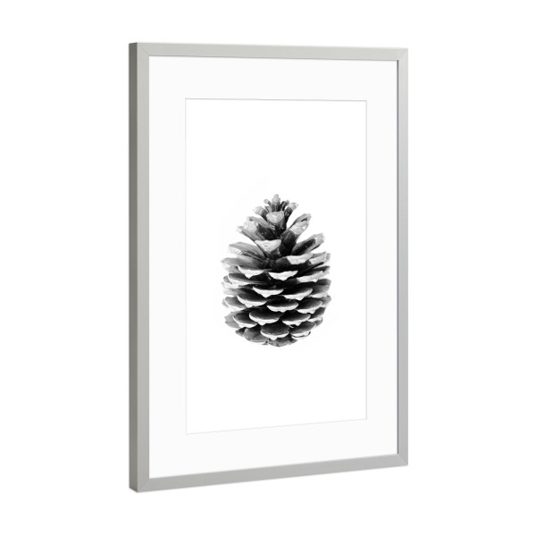 Poster mit Rahmen Silber "Pinecone" artboxONE - Natur,Schwarzweiß - Pinecone,Tannenzapfen,Forest,Wald,Natur,Nature