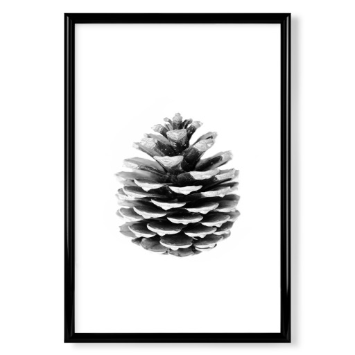 Pinecone