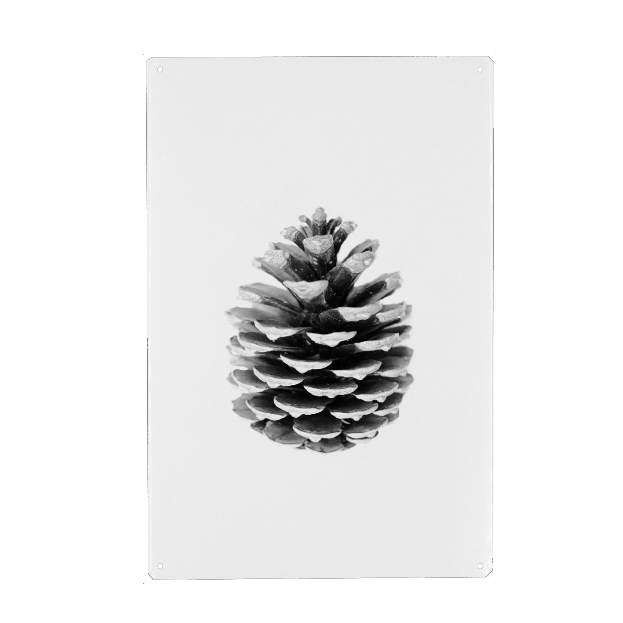 Holzbild "Pinecone" artboxONE - Natur,Schwarzweiß - Pinecone,Tannenzapfen,Forest,Wald,Natur,Nature
