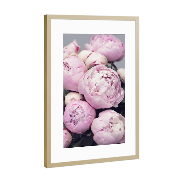 Poster mit Rahmen Gold "Peonies" artboxONE - Floral - Flowers,Peonies,Pink,Blume,Blumen,Pfingstrose,Pfingstrosen