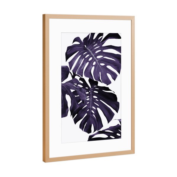 Poster mit Rahmen Kupfer "Monstera leaves 2" artboxONE - Natur,Ultraviolet - Lila,Tropisch,Modern,Blatt,Palmblätter,Monstera blätter,Ultraviolett