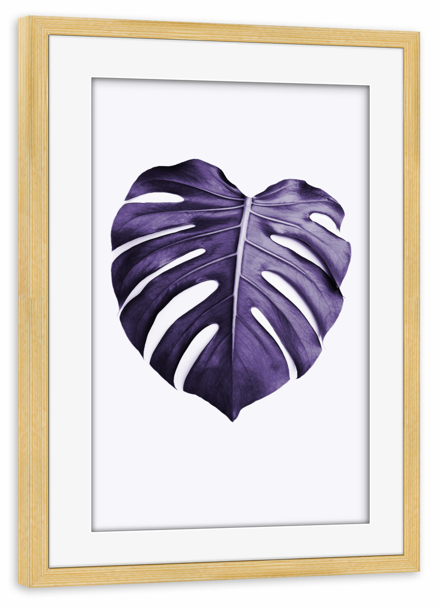 Poster mit Rahmen kiefer "Purple Monstera" artboxONE - Natur,Ultraviolet - Ultraviolet,Leaf,Monstera leaf,Purple,Minimalist,Modern plant,Leaf photo