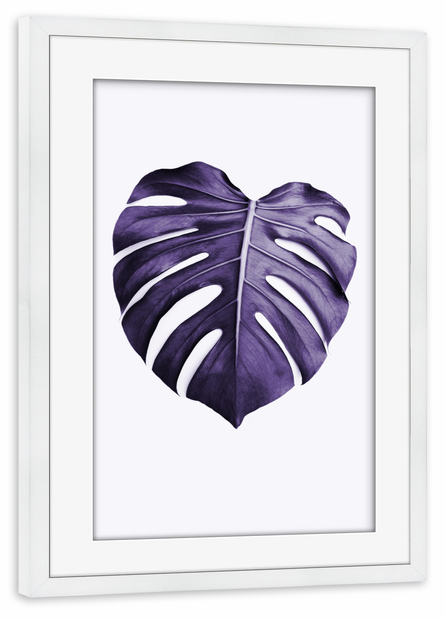 Poster mit Rahmen weiß "Purple Monstera" artboxONE - Natur,Ultraviolet - Ultraviolet,Leaf,Monstera leaf,Purple,Minimalist,Modern plant,Leaf photo