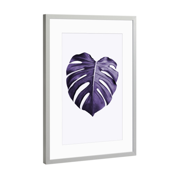 Poster mit Rahmen Silber "Purple Monstera" artboxONE - Natur,Ultraviolet - Ultraviolet,Leaf,Monstera leaf,Purple,Minimalist,Modern plant,Leaf photo