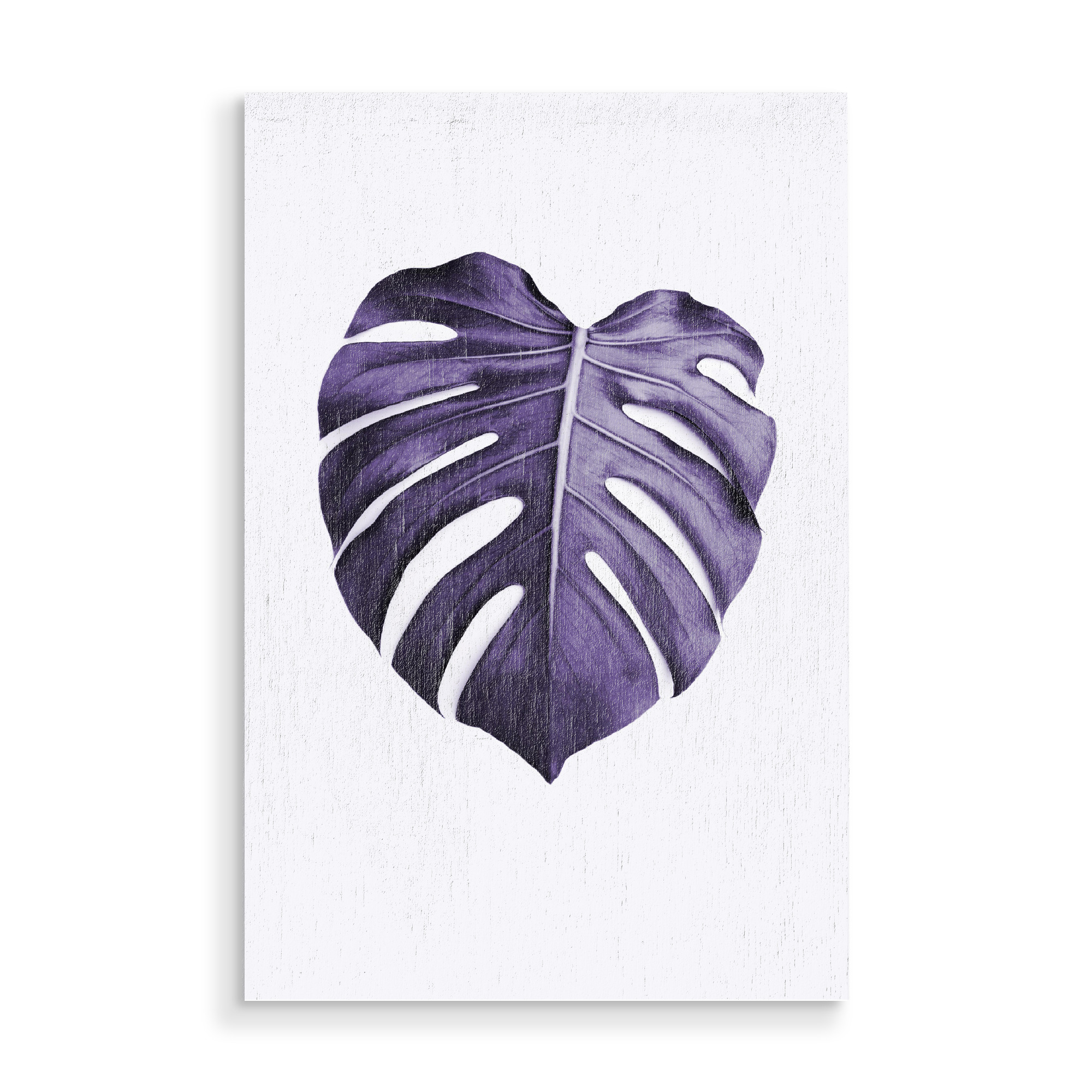 Holzbild "Purple Monstera" artboxONE - Natur,Ultraviolet - Ultraviolet,Leaf,Monstera leaf,Purple,Minimalist,Modern plant,Leaf photo