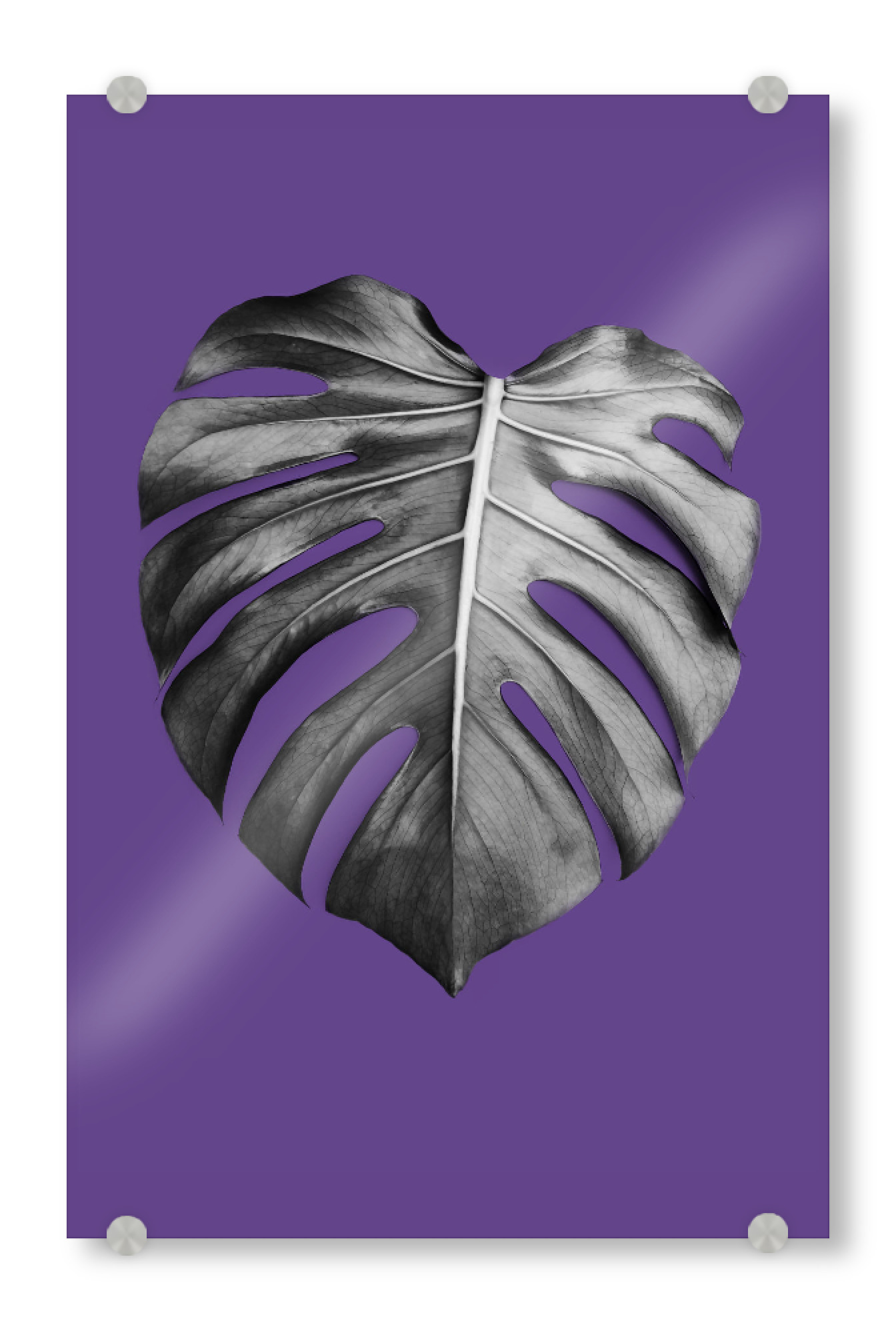 Acrylglasbild "Monstera Leaf 3" artboxONE - Natur,Ultraviolet - Ultraviolet,Leaf,Modern,Monstera leaf,Palm leaf,Purple