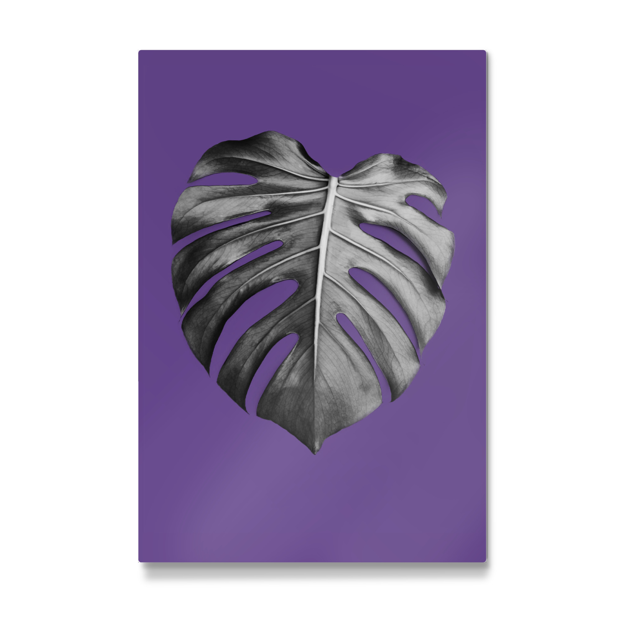 Galerie-Print "Monstera Leaf 3" 75x50 cm artboxONE