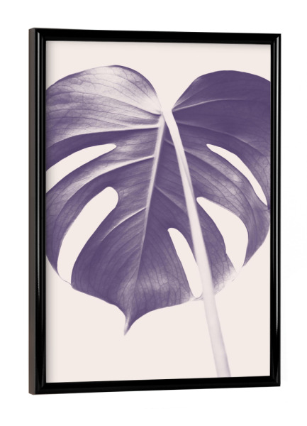 Poster mit schwarzem Rahmen "Purple Leaf" artboxONE - Natur