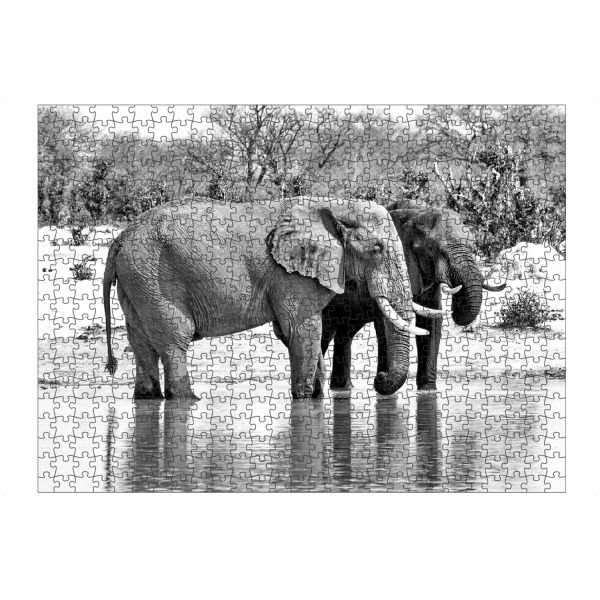 Puzzle Ravensburger "Elefanten am Wasserloch 24" artboxONE - Natur,Tiere,Schwarzweiß,Reise / Afrika