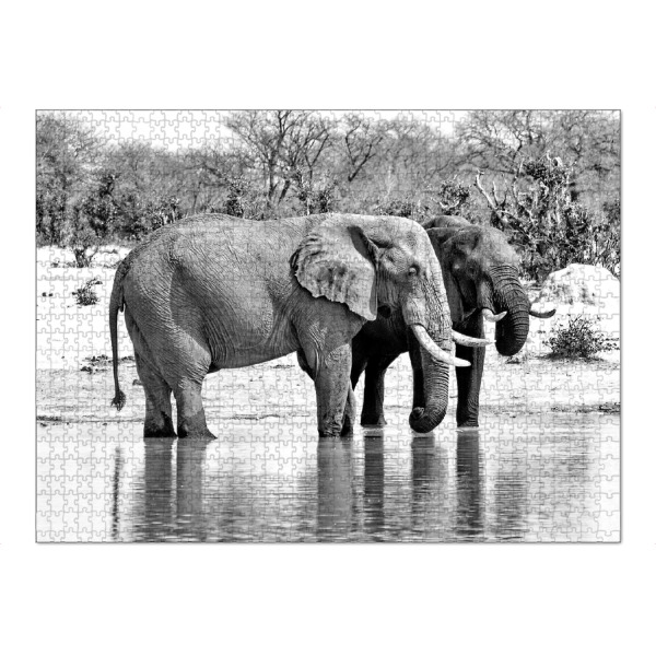 Puzzle Ravensburger "Elefanten am Wasserloch 24" artboxONE - Natur,Tiere,Schwarzweiß,Reise / Afrika