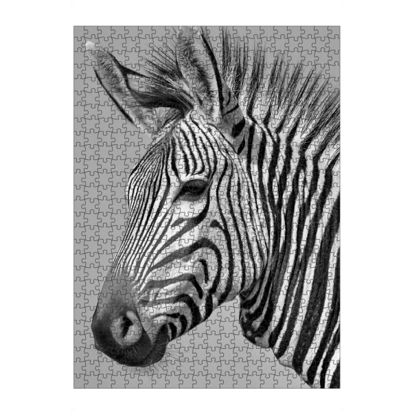 artboxONE Puzzle "Zebra Portrait P1070315 sw" artboxONE - Natur,Tiere,Schwarzweiß,Reise / Afrika