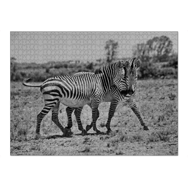 Puzzle Ravensburger "Zebra Liebe 7250" artboxONE - Natur,Tiere,Schwarzweiß,Reise / Afrika