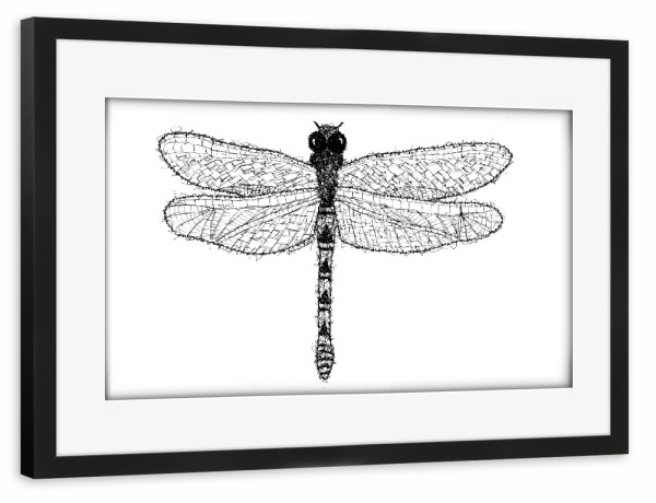Poster mit Rahmen schwarz "Libelle" artboxONE - Tiere,Schwarzweiß