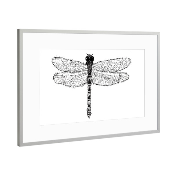 Poster mit Rahmen Silber "Libelle" artboxONE - Tiere,Schwarzweiß