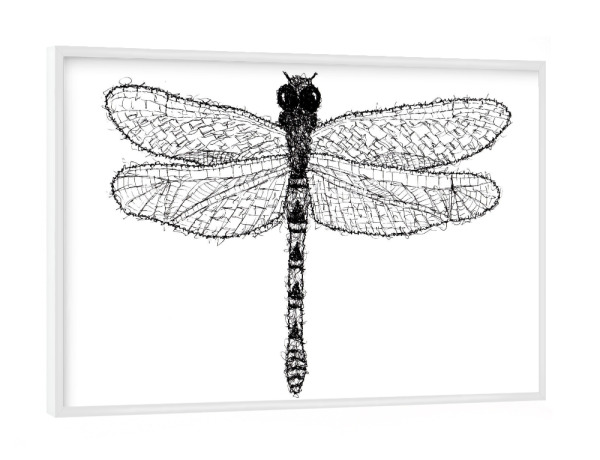 Poster mit weißem Rahmen "Libelle" artboxONE - Tiere,Schwarzweiß