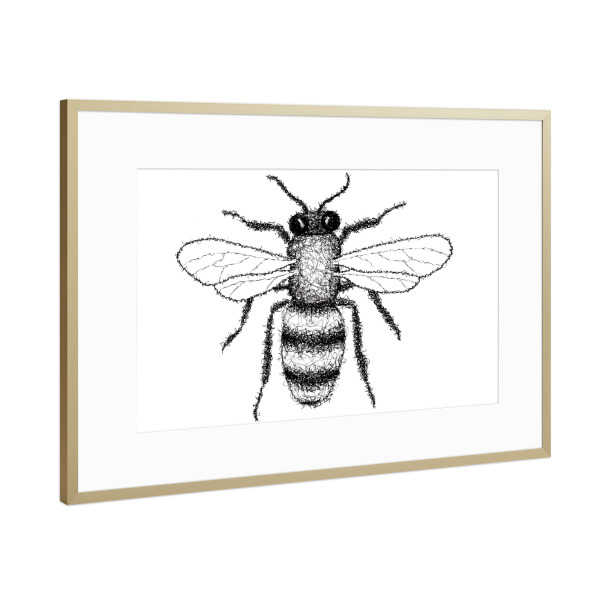Poster mit Rahmen Gold "Biene" artboxONE - Tiere,Schwarzweiß
