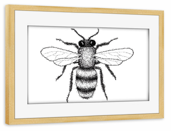 Poster mit Rahmen kiefer "Biene" artboxONE - Tiere,Schwarzweiß