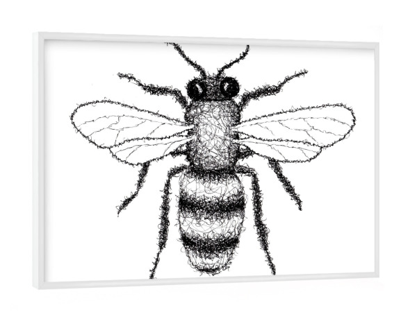 Poster mit weißem Rahmen "Biene" artboxONE - Tiere,Schwarzweiß