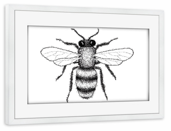 Poster mit Rahmen weiß "Biene" artboxONE - Tiere,Schwarzweiß