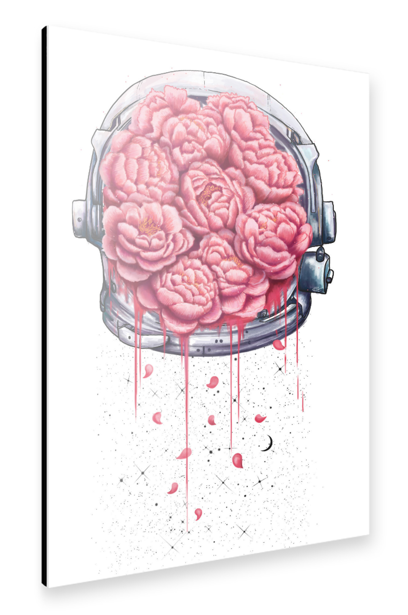 Alu-Dibond "Cosmic peonies on white" 75x50 cm artboxONE
