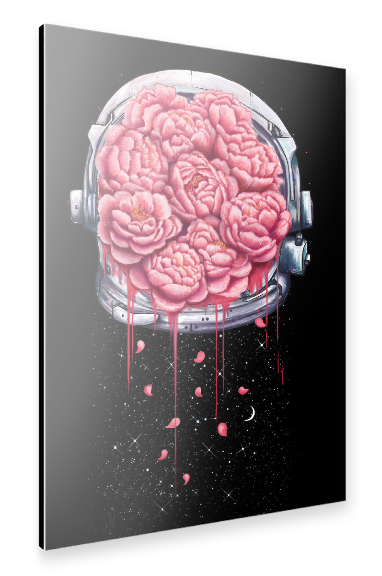 Alu-Dibond "Cosmic peonies on black" 75x50 cm artboxONE