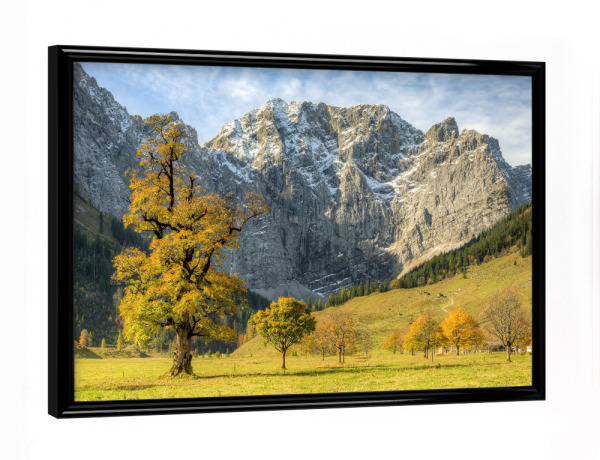 Poster mit schwarzem Rahmen "Großer Ahornboden Österreich" artboxONE - Natur,Reise,Reise / Länder