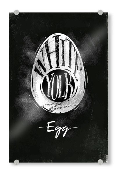 Acrylglasbild "Egg cutting scheme chalk" artboxONE - Tiere,Essen & Trinken,Schwarzweiß