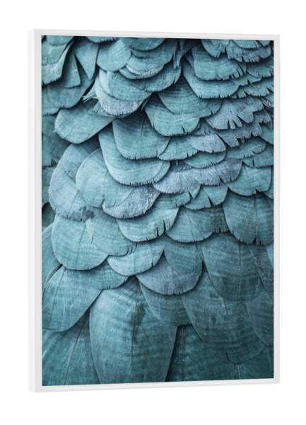 Poster mit weißem Rahmen "Green Feathers" artboxONE - Tiere,Abstrakt - Feder,Federn,Vogel,Feather,Feathers,Bird