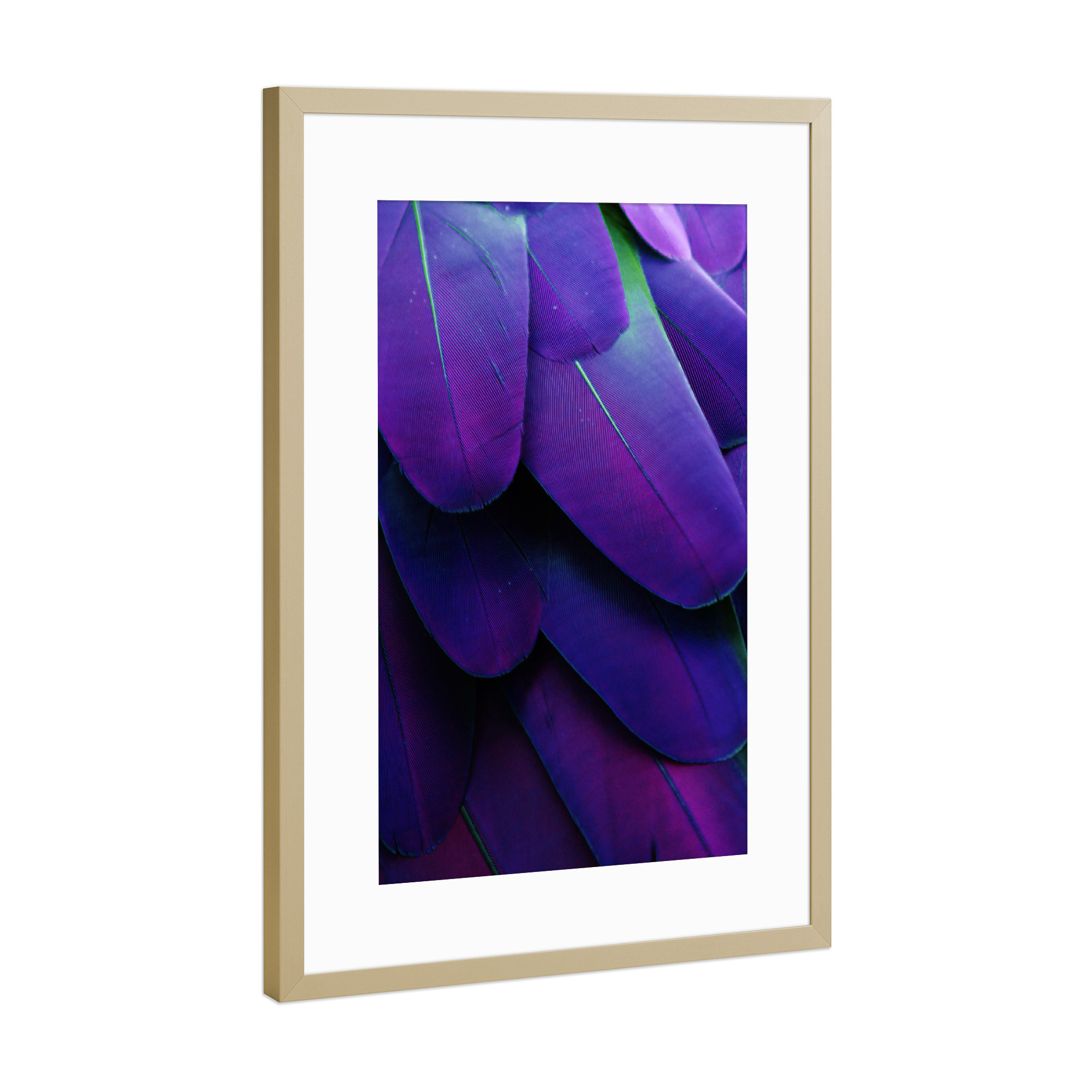 Poster mit Rahmen Gold "Feathers Ultraviolet" artboxONE - Tiere,Abstrakt,Ultraviolet - Ultraviolet,Feather,Feathers,Feder,Federn