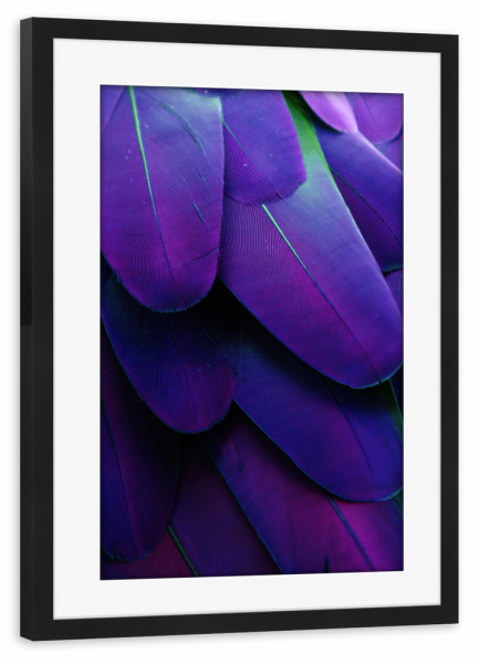 Poster mit Rahmen schwarz "Feathers Ultraviolet" artboxONE - Tiere,Abstrakt,Ultraviolet - Ultraviolet,Feather,Feathers,Feder,Federn