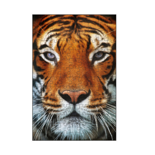 Tiger Portrait 2