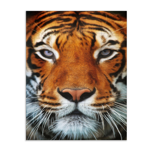 Tiger Portrait 2 Tiger Portrait 2