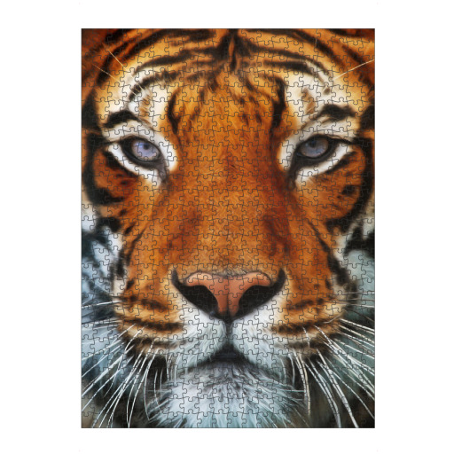 Tiger Portrait 2