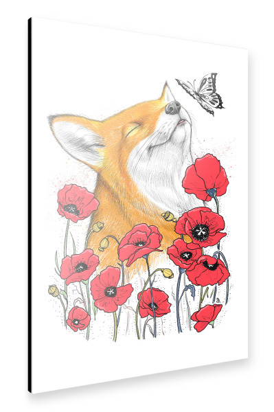 Alu-Dibond "Fox in poppies" 30x20 cm artboxONE