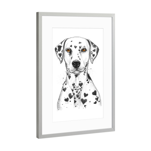 Poster mit Rahmen Silber "Dalmatian" artboxONE - Tiere,Schwarzweiß,Liebe - Hund,Hunde,Tier,Haustier,Dalmatiner,Liebe,Herz