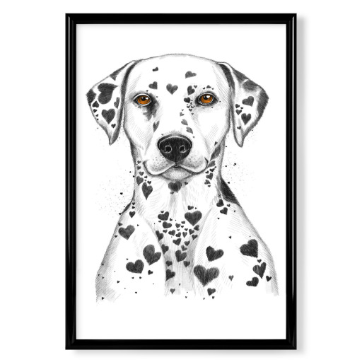 Dalmatian