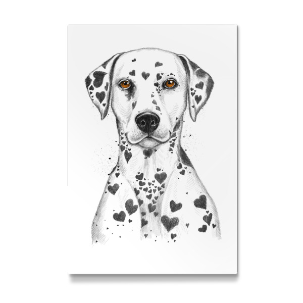 Galerie-Print "Dalmatian" 30x20 cm artboxONE