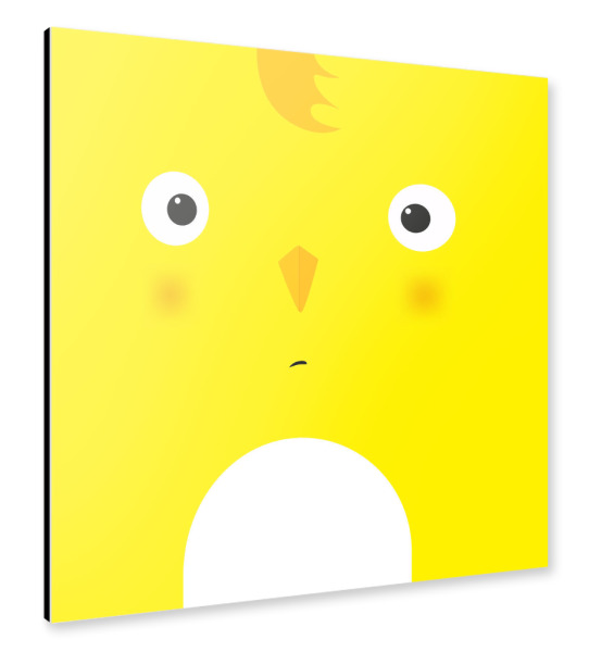 Alu-Dibond "Animal muzzle chick" 30x30 cm artboxONE