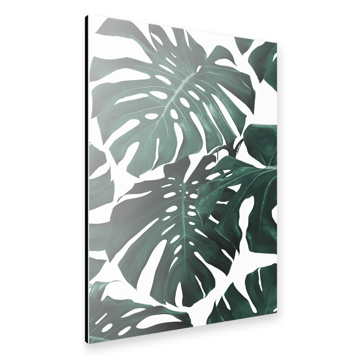 Monstera Leaves Pattern Als Alu Print Bei Artboxone Kaufen